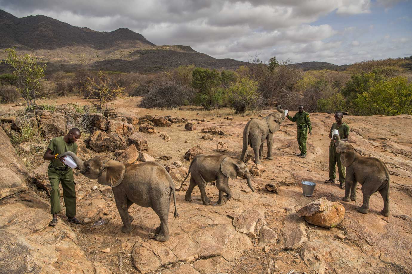 Reteti Elephant Sanctuary